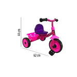 Triciclo para Niños con Canastilla Trasera Storyland 2320003-8P