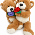 2 OSITOS CON ROSA