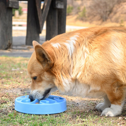 Comedero de Alimentación Lenta para Perros, Plato con Divisiones para Reducir la Ansiedad al Comer, Base con Gomas Antideslizantes para Mascotas