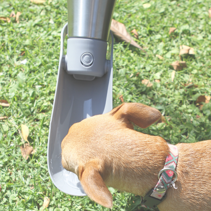 Bebedero para perro PT-006 - Storyland
