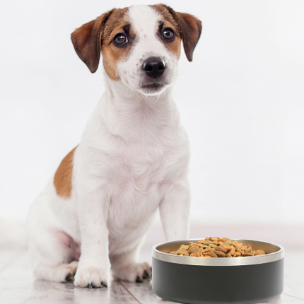 Plato para mascota 1.2 lt - PT-001  - Storyland