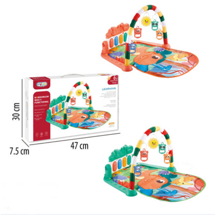 Tapete gimnasio con piano  SH22018799- STORYLAND