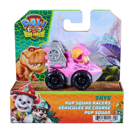 Coche de carreras Paw Patrol