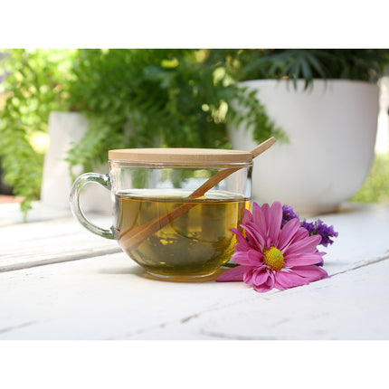 Taza de Vidrio de Sílice con Tapa y Cuchara de Bambú, 470 ml para Café, Té e Infusiones, Vaso Reutilizable con Diseño Elegante para Hogar, Oficina y Regalo