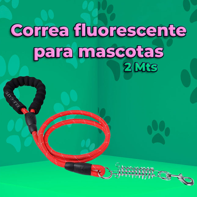 Correa de Nailon Resistente para Perros de 2 Metros Storyland MAS.04.10