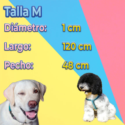 Kit de Arnés y Correa para Perros. Mascotas Medianas Storyland MAS.04.17