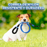 Correa para Perro Resistente de 3 Metros con Asa Acolchada Storyland MAS.04.8