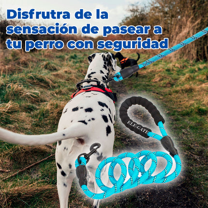 Correa para Perro Resistente de 3 Metros con Asa Acolchada Storyland MAS.04.8