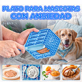 Plato con Textura Ideal para Comida Húmeda