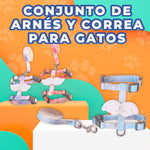 Arnés y Correa para Mascota Pequeña con Detalle de Alas