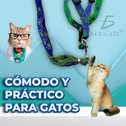 Juego de Arnés y Correa Halter para gato con Patrones  Storyland MAS.25.5