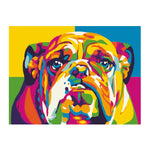 PINTA POR NUMERO Bulldog Multicolor 30x40CM